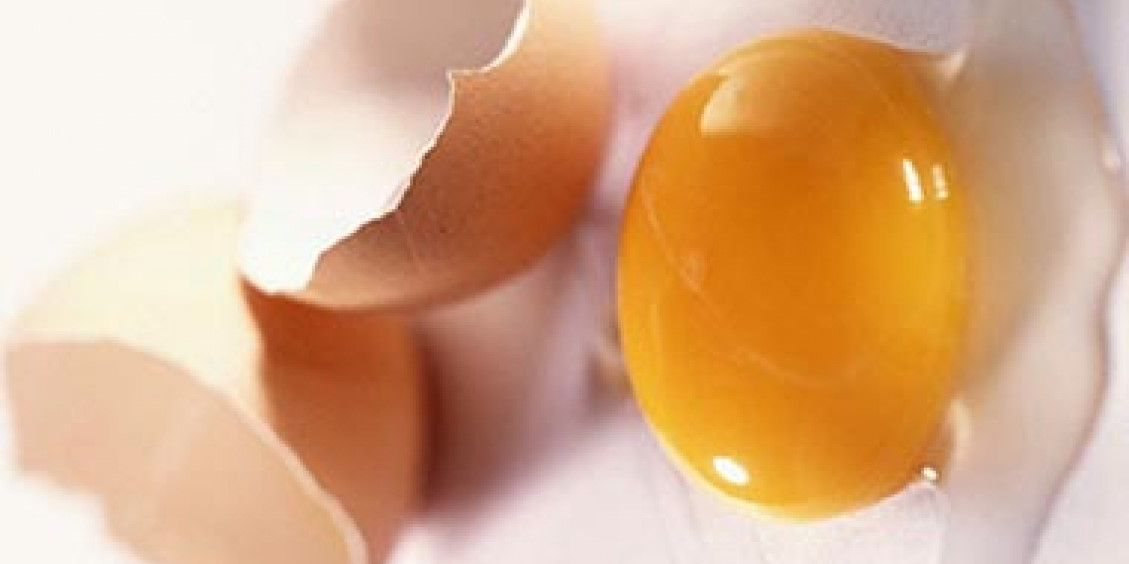 "تخم‌مرغ" تنها کالای گران شده بین خوراکی‌ها