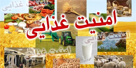 متولی امنیت غذایی فقط وزارت کشاورزی نیست