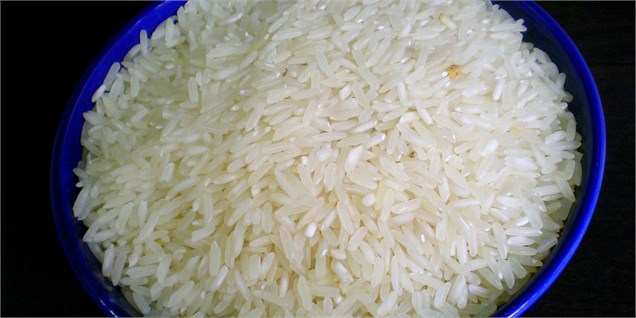 دردسرهای «برنج تاریخ مصرف گذشته» برای وزیر کشاورزی