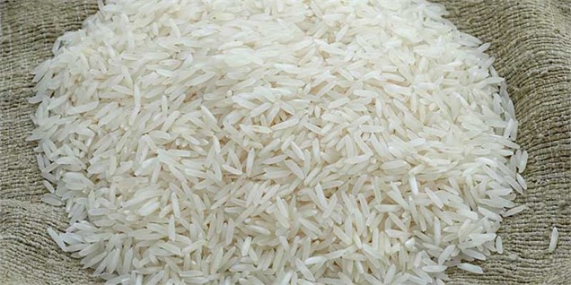 کشف ۶۴۰ هزار کیلو برنج قاچاق