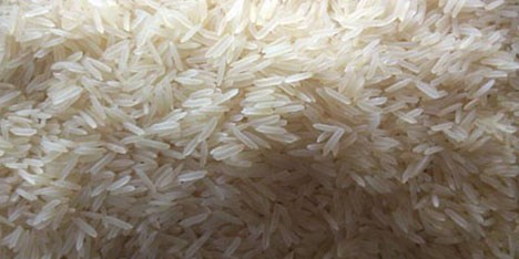 واردات ۱۶ میلیون دلار برنج از آمریکا با وجود ممنوعیت