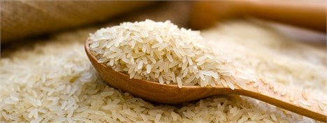 واردات ۱۶ میلیون دلاری برنج از آمریکا به سفارش دولت