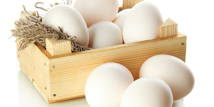 صادرات تخم‌مرغ متوقف نشده است