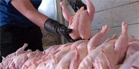 تمایل روسیه برای صادرات گوشت و مرغ حلال به ایران