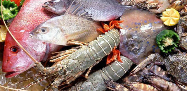 آثار منفی واردات ماهی بر تولیدات داخل