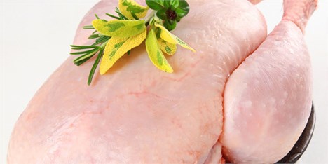 تکذیب استفاده از جیوه در گوشت مرغ