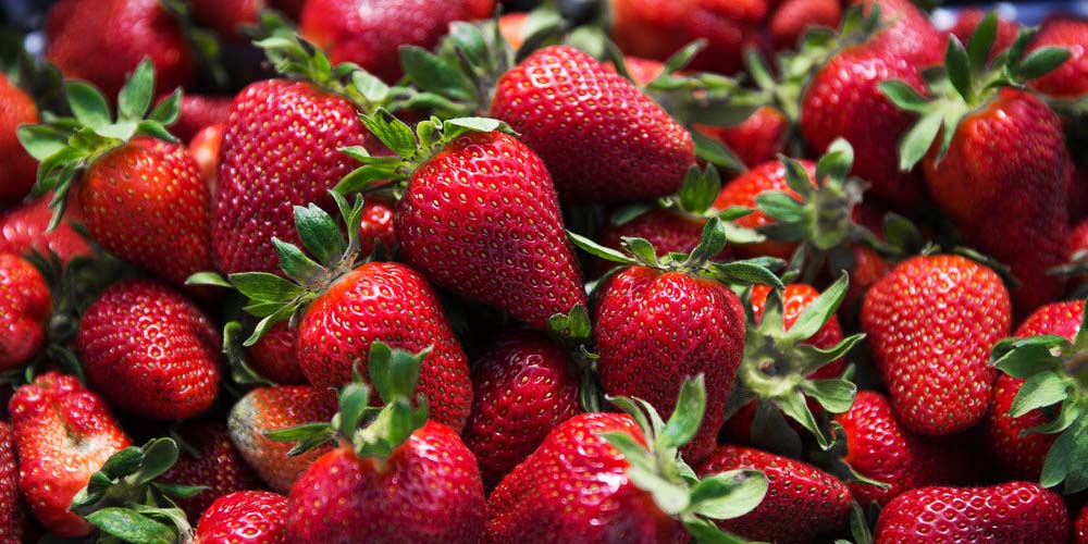 توت‌فرنگی و سیر گران‌ترین محصولات در بازار میوه و تره‌بار