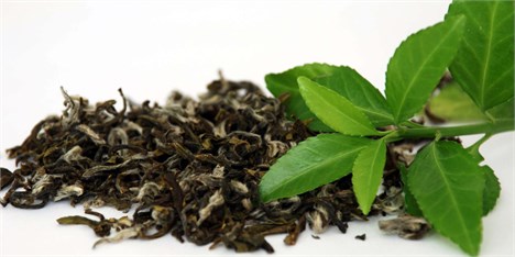 پیشبرد صنعت چای داخلی در راستای اقتصاد مقاومتی