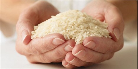 افزایش تمایل مردم به مصرف برنج ایرانی