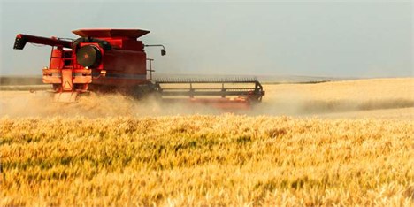 برنامه اقتصاد مقاومتی محصولات زراعی در قالب پنج طرح امسال آغاز می‌شود