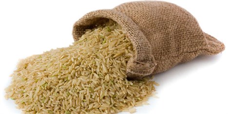 مازندران 50 درصد نیاز به واردات برنج را تامین می‌کند