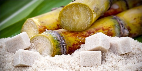 کاهش شدید تولید شکر هندوستان در سال جاری زراعی