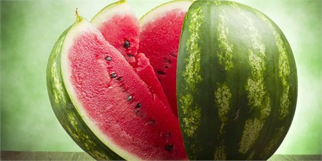 کاهش 8 برابری سطح زیر کشت هندوانه