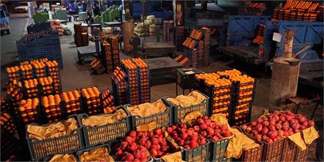 محصولات کشاورزی در دام «مدل تارعنکبوتی»