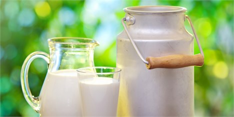خرید حمایتی شیر خام محدود به 5 استان نیست