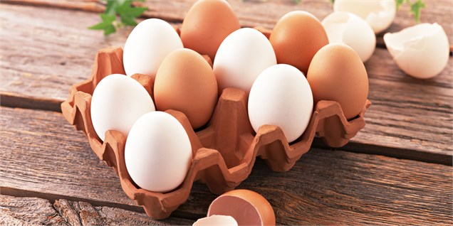 صادرات تخم‌مرغ متوقف شد