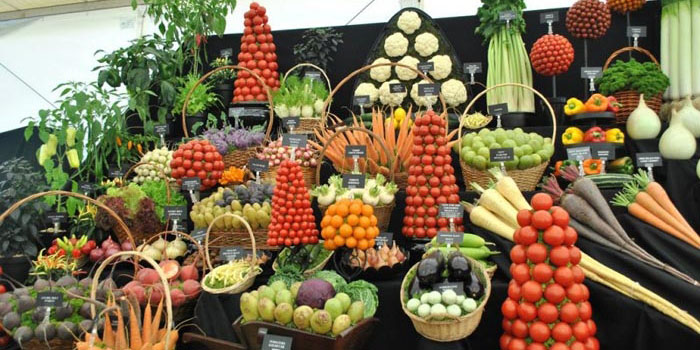 برگزاری نمایشگاه موادغذایی و کشاورزی