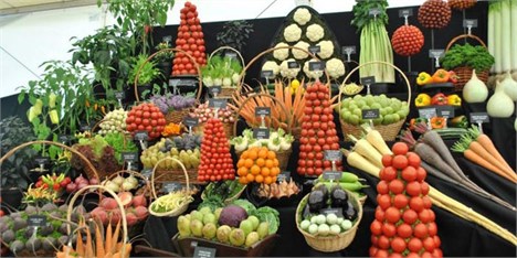برگزاری نمایشگاه موادغذایی و کشاورزی