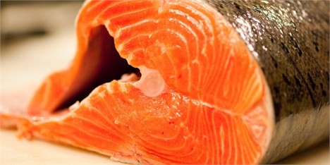 دلایل کاهش قیمت ماهی قزل‌آلا در بازار