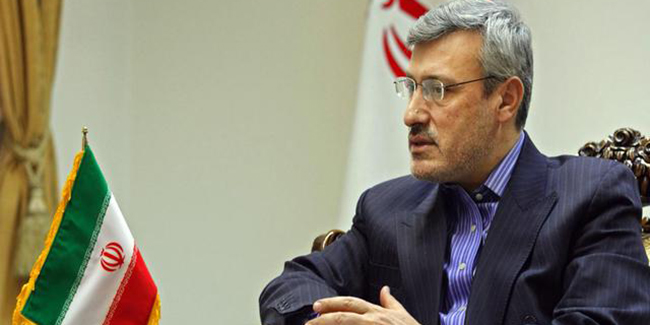 بعیدی نژاد: ایران تا حذف تمامی موانع بانکی و مالی از پای نخواهد نشست/ اهداف برجام را نباید به منافع اقتصادی تقلیل دهیم