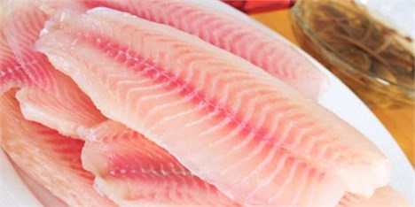 افزایش 6 درصدی تولید ماهی تیلاپیا در جهان