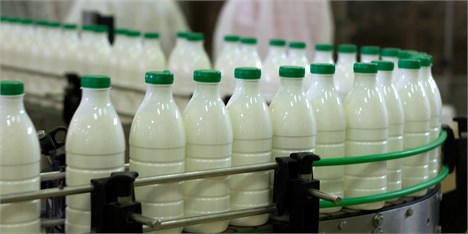 راه‌اندازی صندوق شیر با ۴۵۰ میلیارد تومان اعتبار