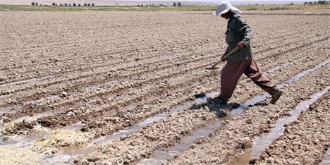ایرانی‌ها در عراق زمین کشاورزی اجاره کرده‌اند