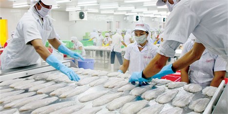 افزایش صادرات محصولات کشاورزی ویتنام