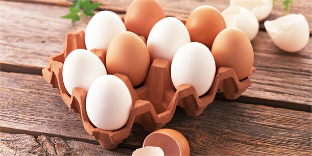 تخم‌مرغ 10 هزار تومانی گران نیست