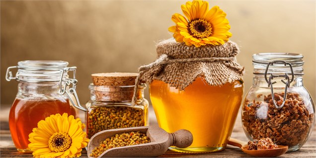 وزیر کار: نخستین سرمایه‌گذار خارجی در تولید عسل به ایران آمد