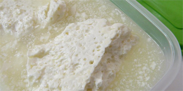 صادرات بیش از هزار تن آب پنیر چه میزان ارز آوری داشت