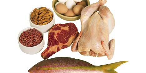 افزایش 38 درصدی تولید گوشت مرغ در قزوین طی سال‌های 92 تا 95