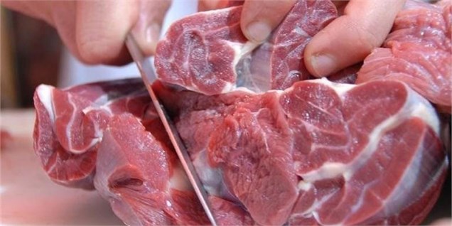 اختلاف‌ نظر وزارت کشاورزی و سازمان حمایت درباره گرانی گوشت