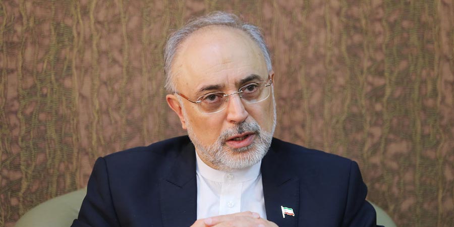 صالحی: هیچ توافق محرمانه‌ای میان ایران و 1+5 نبوده است