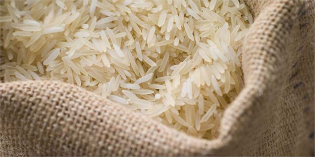 فقط گیلان و مازندران پتانسیل تولید برنج دارند