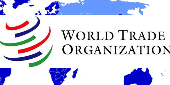 از عضویت ایران در سازمان جهانی تجارت حمایت می‌کنیم