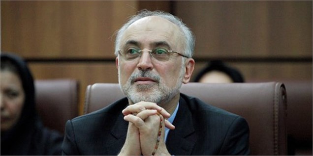 صالحی: دولت‌های برخی کشورهای منطقه به دستاوردهای هسته‌ای ایران حسادت می‌کنند