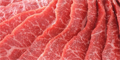 گوشت آهو و گوزن در بازار دیده‌ نشد