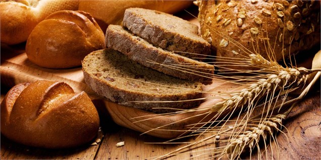 ایران برای کیفی‌سازی نان گندم وارد می‌کند