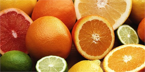 وضعیت باغات پرتقال نگران‌کننده است