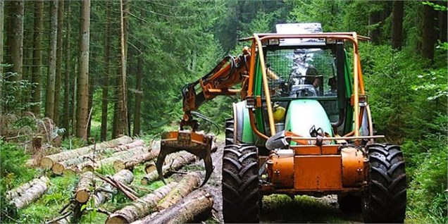 ممنوعیت برداشت از جنگل‌های شمال تا ۵ سال/ واردات چوب بیشتر نمی‌شود
