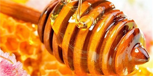 کاهش 15 درصدی تولید عسل در ابرکوه