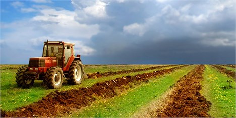 کشاورزی ستون فقرات استان کردستان