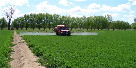 37 واحد صادرکننده محصولات کشاورزی در قزوین متقاضی دریافت تسهیلات هستند