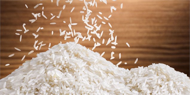 پیش‌بینی کمبود و گرانی ۱۰۰۰ تومانی برنج در شب عید