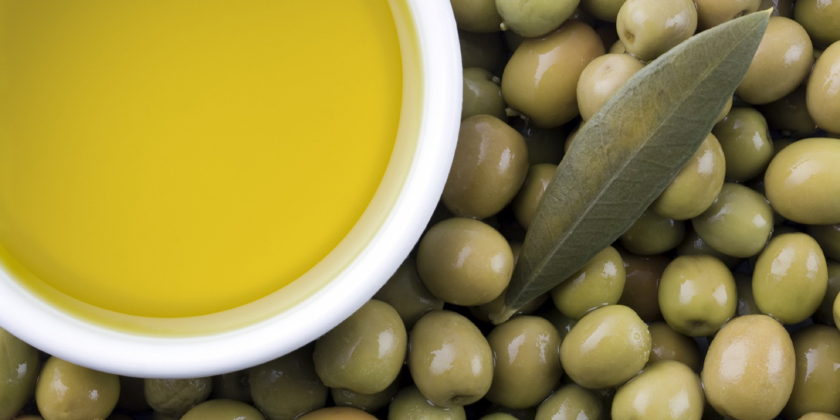 Логотип оливкового цвета. Зейтин турецкий. Финикия оливковые деревья. Оливки. Олива на белом фоне.