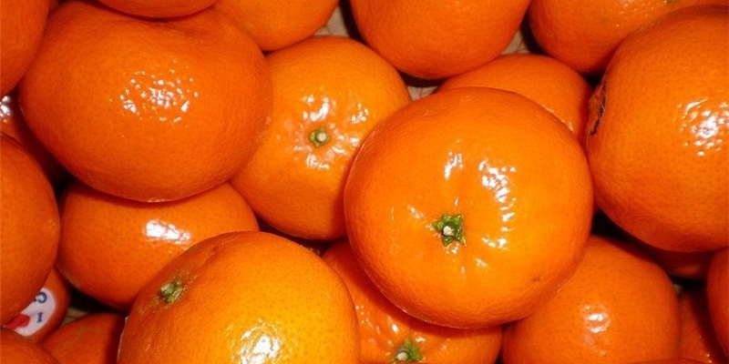 پرتقال تولید داخل برای شب عید کافی است/ واردات توجیه ندارد