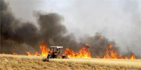 خسارت درگیری‌‌ها در سوریه بر کشاورزی 16 میلیارد دلار برآورد شد