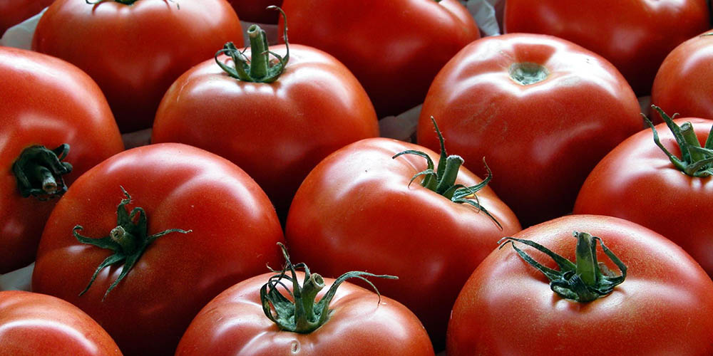 افزایش قیمت گوجه‌فرنگی/ وعده ارزانی در روزهای آینده