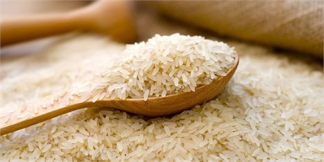 مظنه قیمت برنج وارداتی در میادین میوه و تره بار